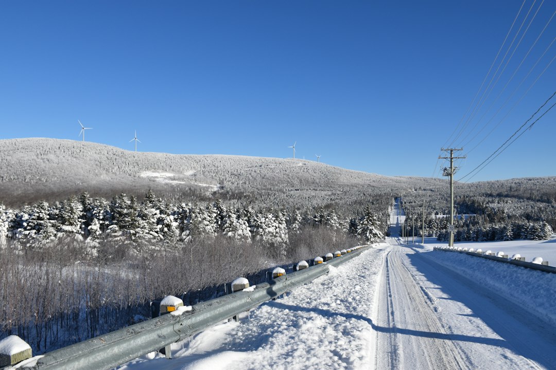 Country road in winter in Quebec, illustrating mandatory insurance rules for drivers and owners in Quebec