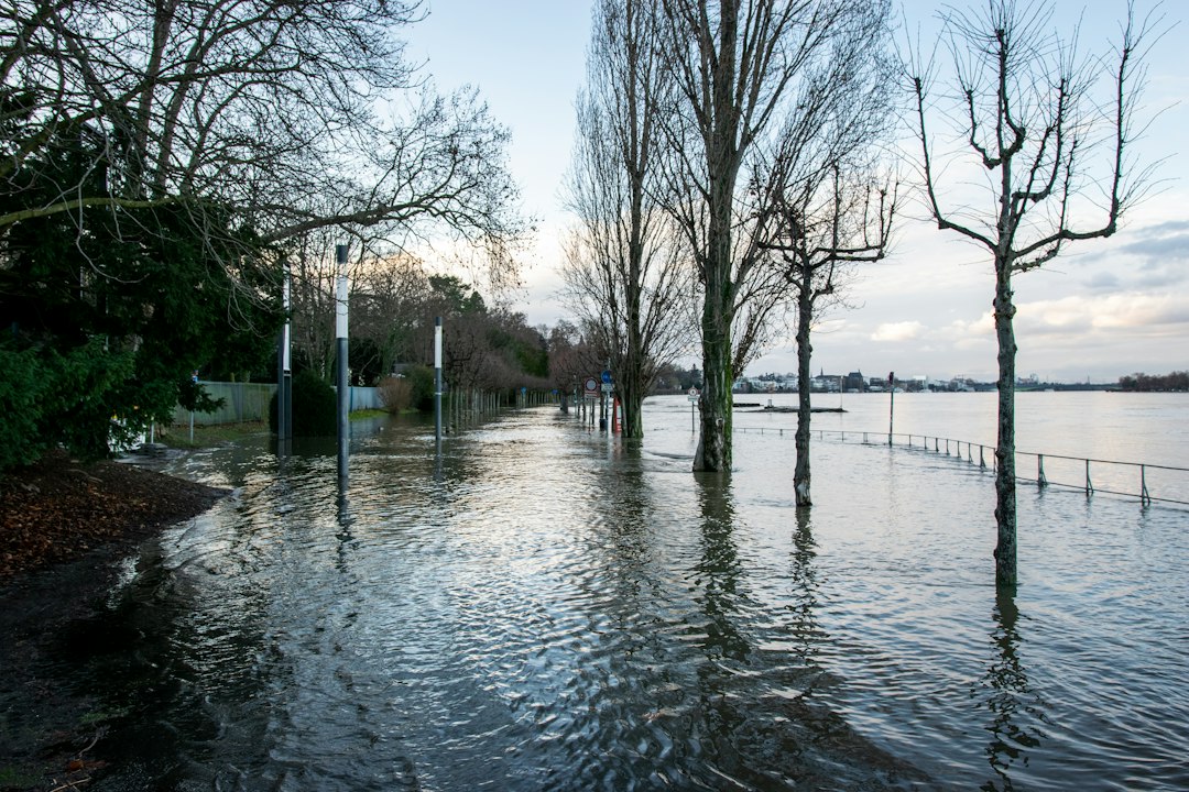 Water Damage, Sewer Backup and Flood Insurance in the Laurentides
